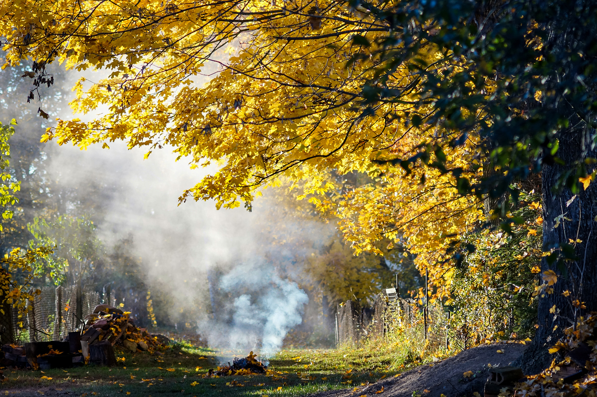 Bohun home 30 DSC01535